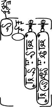 Dscript 2D Notation image